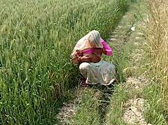 I fucked my desi bhabhi in the jungle outdoors.