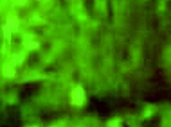 Citor3 Femdomination 2 VR Game Ends with Cowgirl Anal