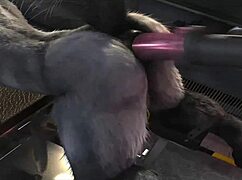 嘿，你试过这个马式操机合辑了吗？