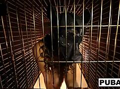 Sexy Dani Daniels a Trapped Bitch Inside a Dog Cage