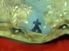 Indian Desi Couple Enjoys Hot Sex at Home Video