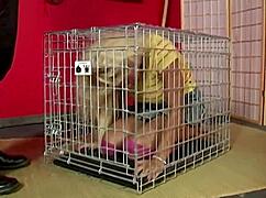 scott rhodes dominates maxine x with intense sucking and buttplug play in the babysitter scene