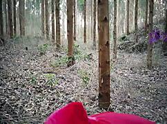 TATIANA MORALES GETS EATEN BY THE WOLF!