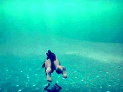 Beasts in the sun part 1 at the beach