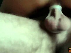 Maya kim and tailor shift engage in intense gay sex with big cocks, monster cocks, and masturbation in a hardcore session.