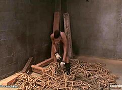 ebony slave endures whipping gagging and choking in training