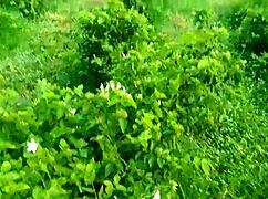 Hey Indian aunty, ready for step sex on the second floor?