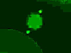 Curious Cute Amy Quinn Gets Dominated Pt 3