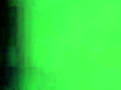 Amateur Home Video Featuring Everyday Moments