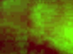 Milk tity hotwife plays with her pussy after a long night