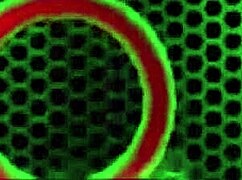 Hot Damn! Busty Cougar Maxine X Gets Pussy Pounded After Sizzling Blowjob