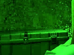 Blain O’Connor, wanna get drilled by Prince Reign?