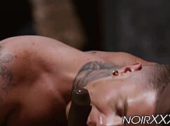 Hey, that seductive white hunk gets anally pounded by Timarrie Baker outdoors