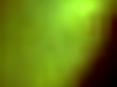 Casual Video from March 16, 2017, Featuring Bisexual Moments