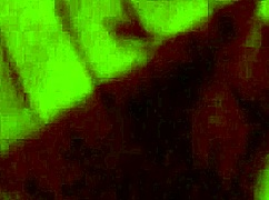 Casual Video from March 16, 2017, Featuring Bisexual Moments