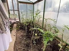 Farmer girl shows juicy fruits and vegetables