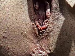 Brunette Kandi Laigne Masturbates While Sitting on Your Face