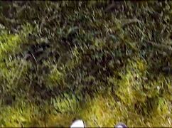 fucking wife elly clutch with secret lesbian lover susie stellar