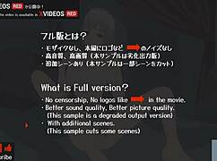 uncensored hentai animation teletha tessa testarossa's virgin first adventure