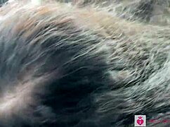 petite brunette sucks cock in porsche car