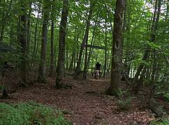 粗暴亚洲支配大奶子极限全片