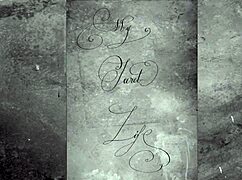 Exploring the wonderful world of vintage pornography