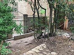 Gay cruising compilation outdoors