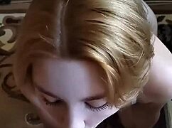 yasyapasha20 update inshot feb 29 2024