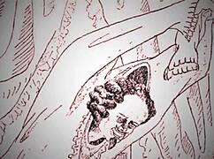 Vintage erotic drawings bring back steamy old-school vibes.