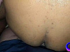 Four Machos in a Box Unleash Group Sex Desires 😍