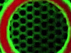 Busty Blonde Milf Vicky Vette Grinds And 69S Nasty Lynn Vega