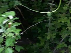 i caught my neighbor jerking in street toilet and joined her lesbian play.