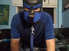 I tease with my chastity cage during masturbation