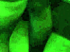 no hair, just thick delicious booty and wide hips!