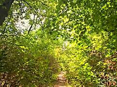 pleeeeeease dont stop, keep cummin inside me now