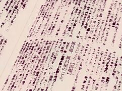 Intense hentai sex in anime chapter six