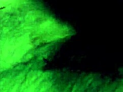 Blondie's Honeymoon Turns Adventurous With Friends And Swingers