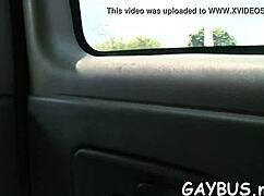 Powerful Gay Bear Fucking