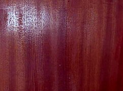 uh, my french stepmom let me explore every inch of her mature body!