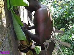 Hotest Sex Show Leaves Me Craving Huge Gay Action