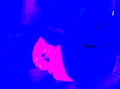 happy halloween couple fun