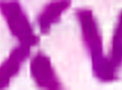 Newbie Teen 18+ Gianna Gotti First DP Opens Tight Asshole for BBC!