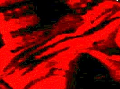 Real homemade wedding bride gets intensely fucked by her new husband in amateur passion