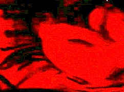 Real homemade wedding bride gets intensely fucked by her new husband in amateur passion