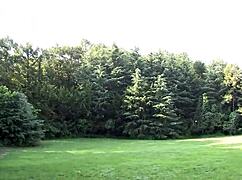 dude, this petite japanese teen got tricked into a double creampie at golf lesson