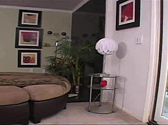 Trinity Post, Kelly Divine, and Jessica Right chase a big black cock adventure