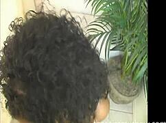 island hottie from trinidad shines on theshimmyshow with foxy roxy! 🌴