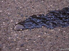 sally caught pissing outdoors in a daring solo moment