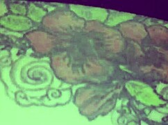 The Sexy Latina Whore Bends Over To Get Fucked Hard By The Young Guy