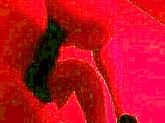 Married Woman KarenKiss Takes Cum in Pussy at Glory Hole Line!